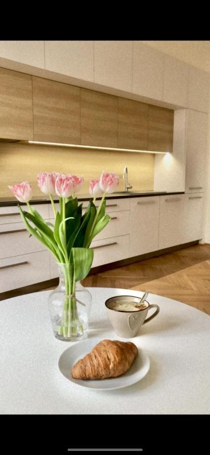 Hradec Králové City Center Apartment מראה חיצוני תמונה